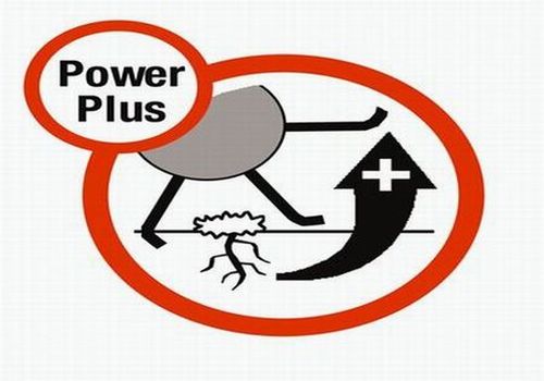 Мощный двигатель PowerPlus