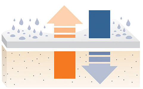 Оптимальный климат тела Оптимальный климат тела