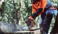 ��������� HUSQVARNA 395 XP 9659021-94 ����