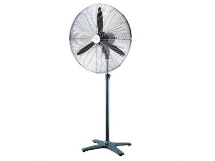 ���������� ��������� MASTER FS 75 ����