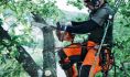 ��������� ���������� ��� ������ �� ����� HUSQVARNA T540XP II 9672875-14 ����