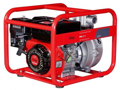 ��������� ��� ������ ���� �������������� FUBAG PG 80 H 838245 ����